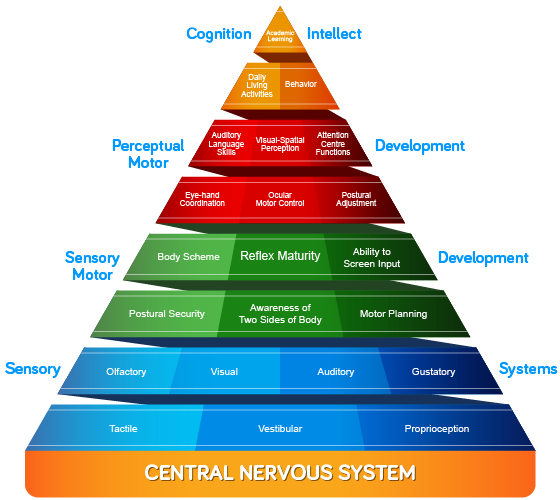 Developmental Approach